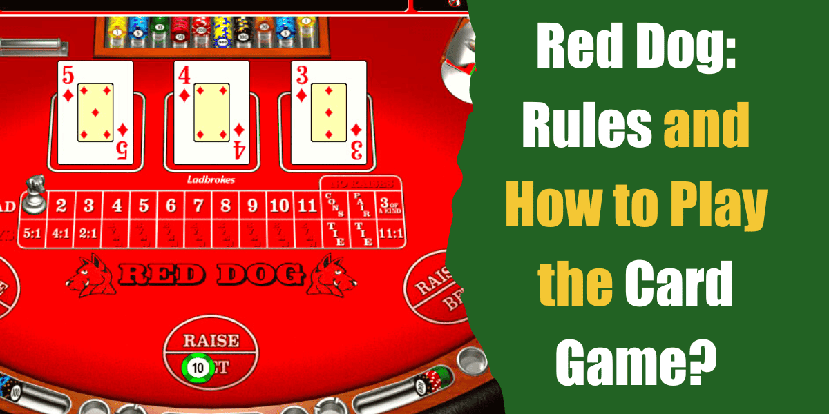 Red Dog: Rules and How to Play the Card Game